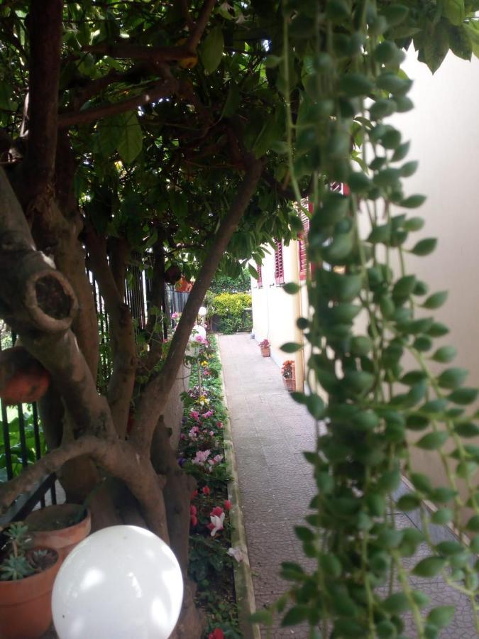 Green Garden Pompei Dış mekan fotoğraf